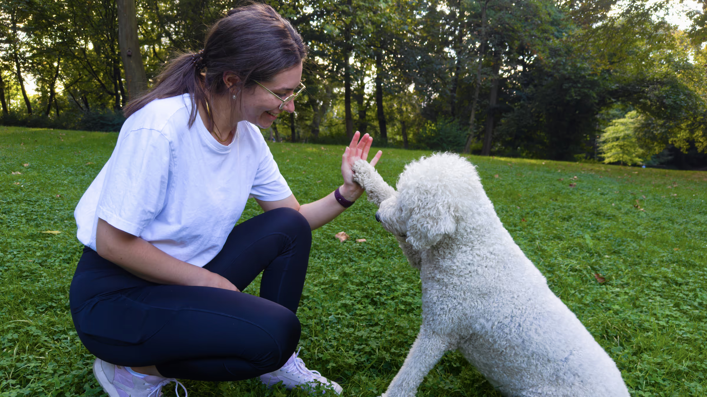 Tierphysiotherapeutin mit Hund geben sich High Five