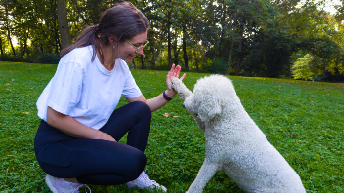 PawsomePhysio - Tierphysiotherapie für Hunde mit Herz Tierphysiotherapeut mit Hund in Köln geben sich High Five